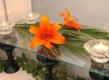 Regenbogen 2* Berlin